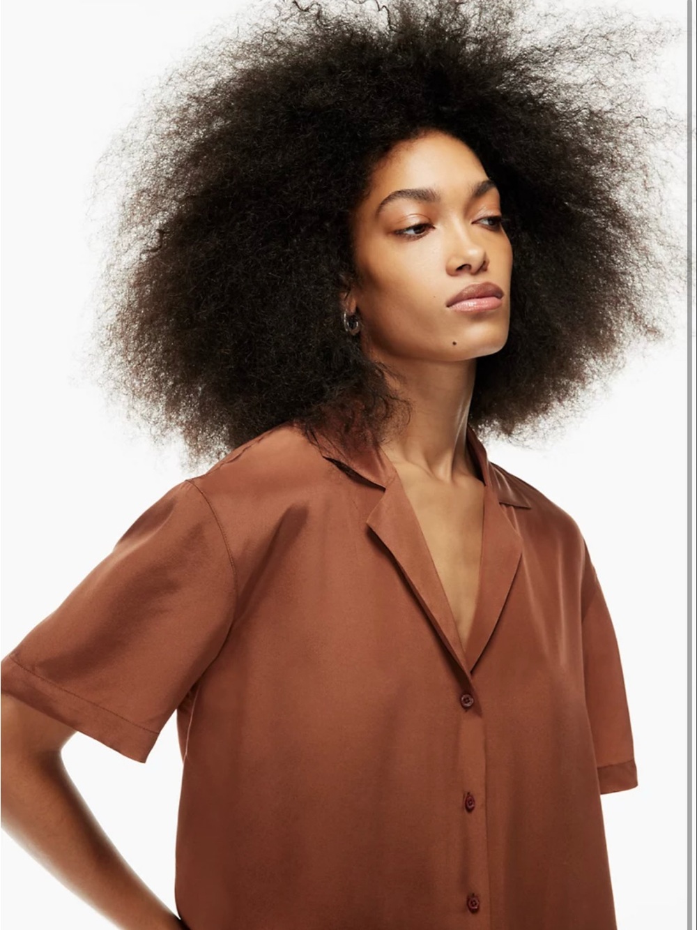 ARITZIA BABATON Access Silk Blouse (Sz XS)